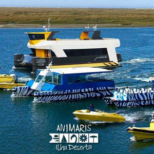 Animaris - Perfect Algarve Transfers